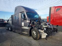 Freightliner salvage cars for sale: 2025 Freightliner Cascadia 126 Semi Truck