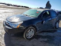 Ford Focus Vehiculos salvage en venta: 2010 Ford Focus sel