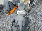 2008 Kawasaki ZX600 P