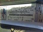 2019 Ford Transit 250 Utility / Service Van