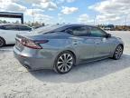 2023 Niss Maxima 3.5 Platinum