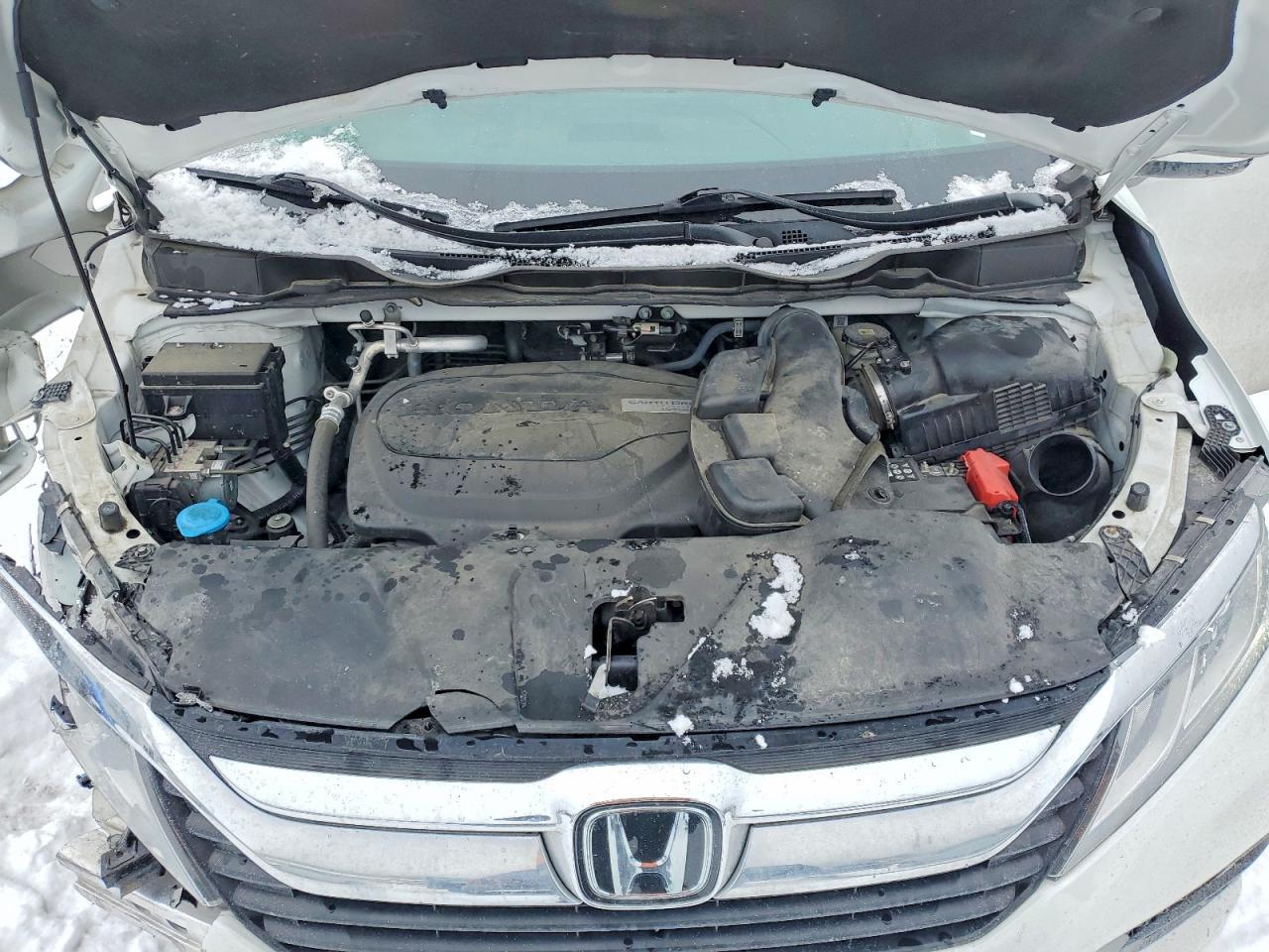 2020 Honda Odyssey exl