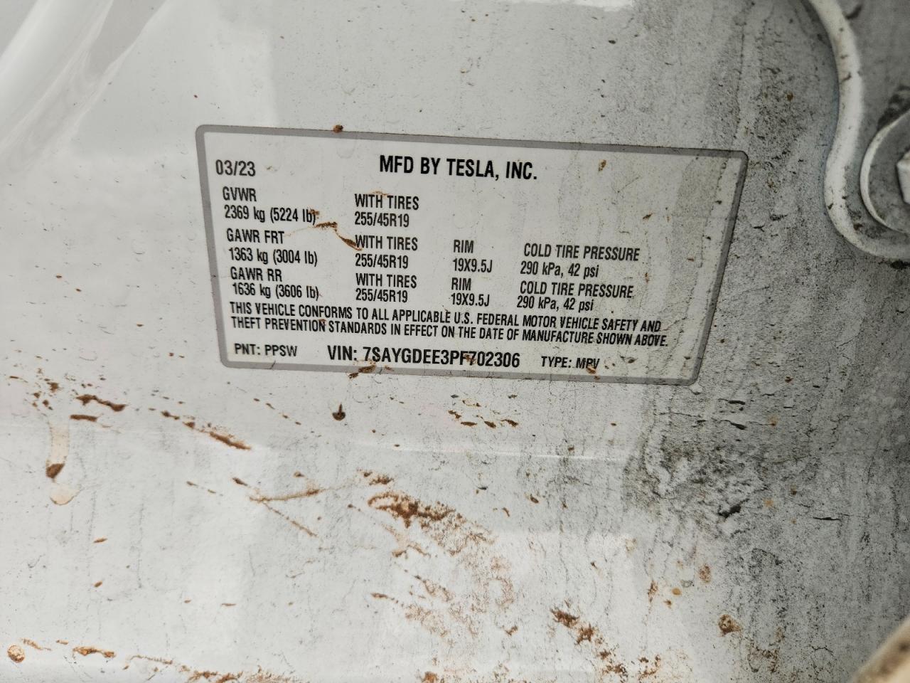 2023 Tesla Model y