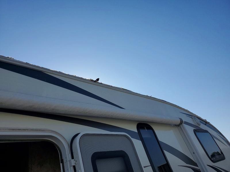 2012 Keystone Cougar Camper