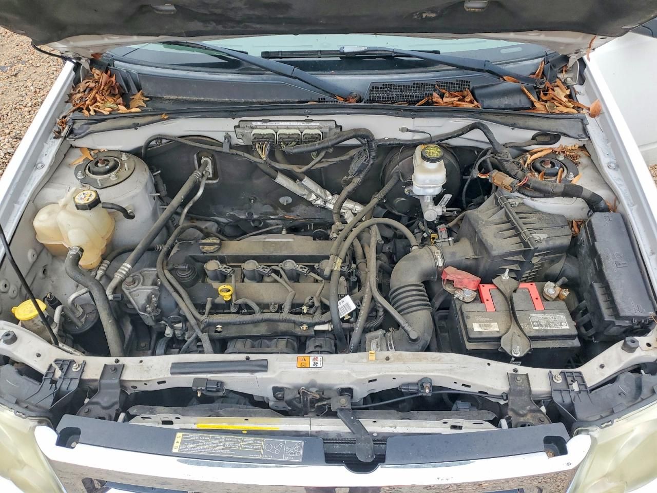 2011 Ford Escape xls