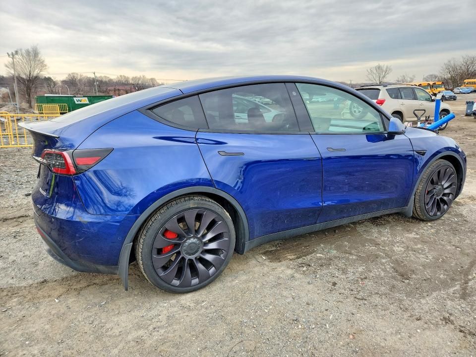 2021 Tesla Model y