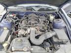 2010 Ford Mustang