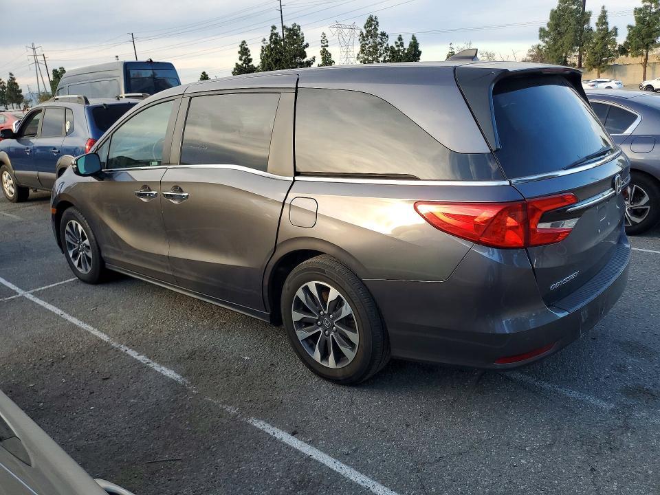 2024 Honda Odyssey exl