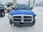 2007 Dodge Dakota slt