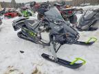 2021 Arctic Cat Riot
