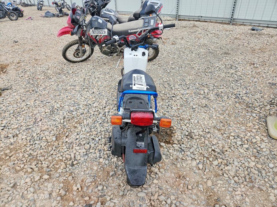 2023 Honda NPS50