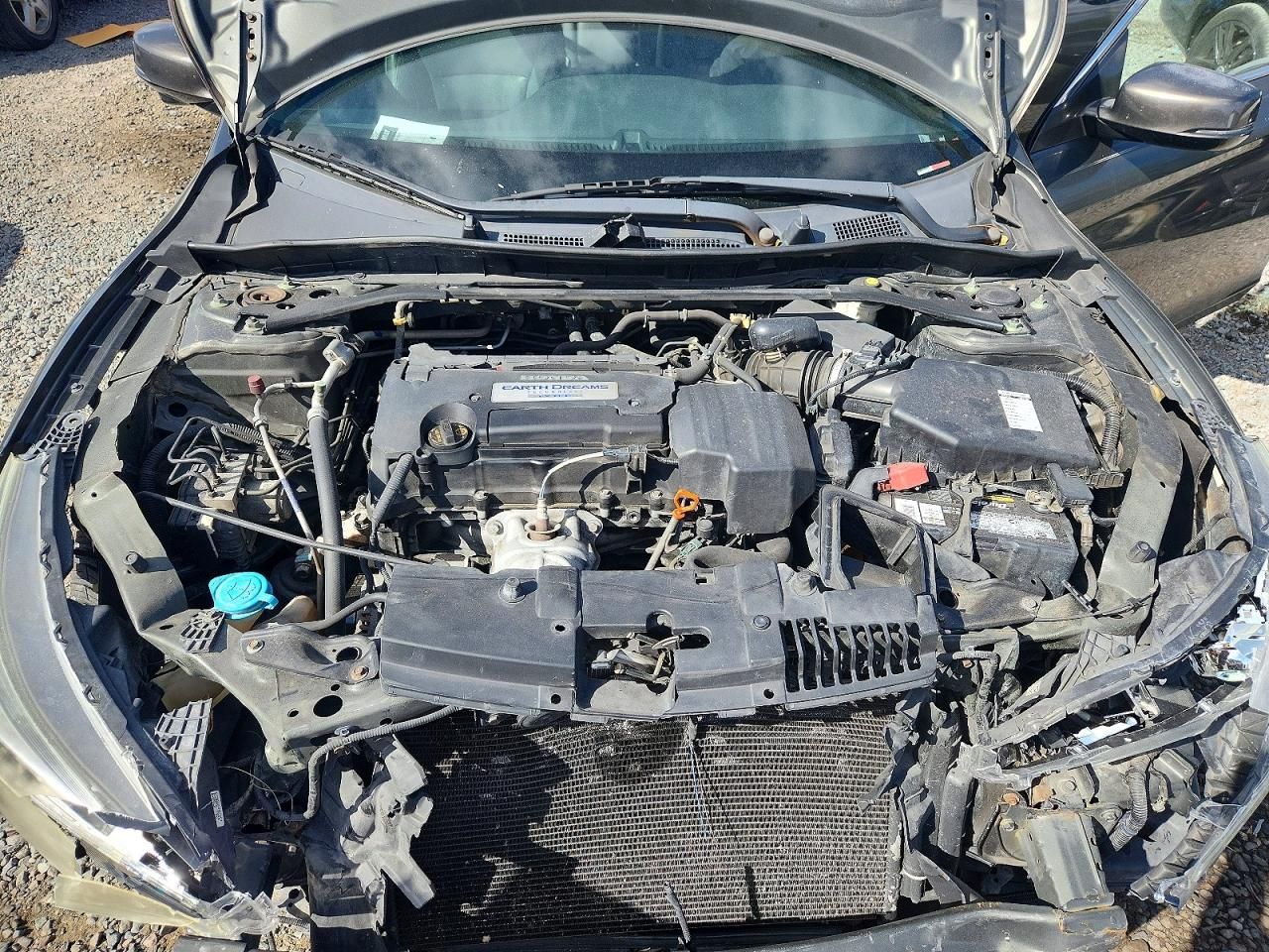 2013 Honda Accord exl