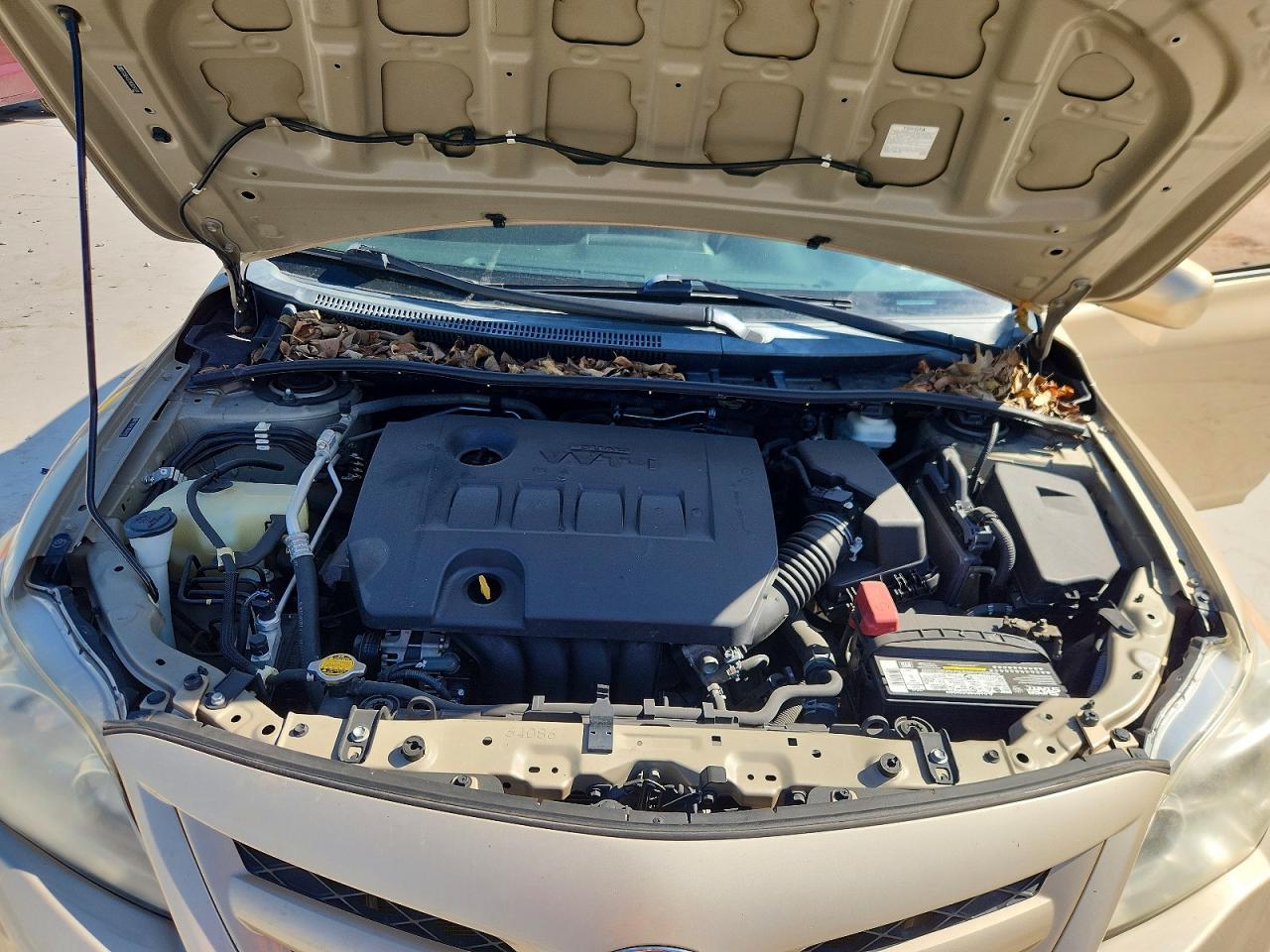 2011 Toyota Corolla