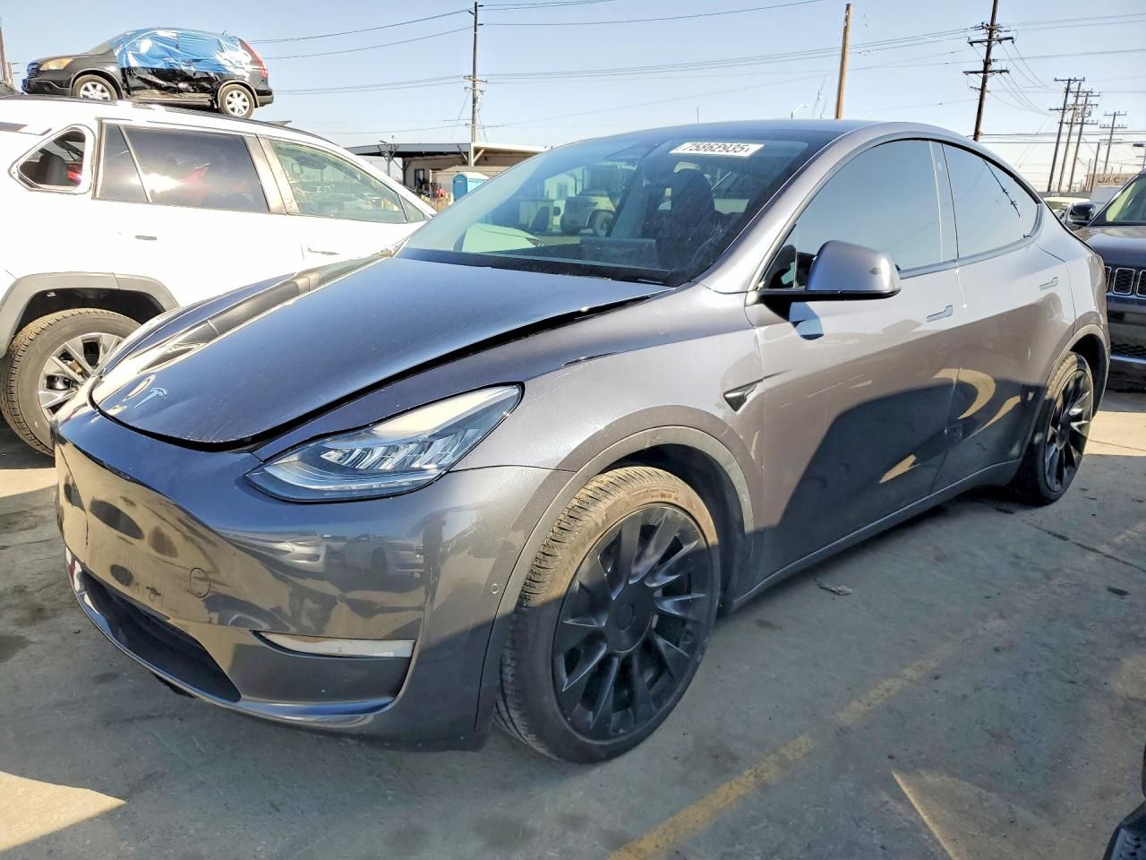 2021 Tesla Model y