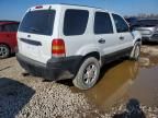 2006 Ford Escape xls