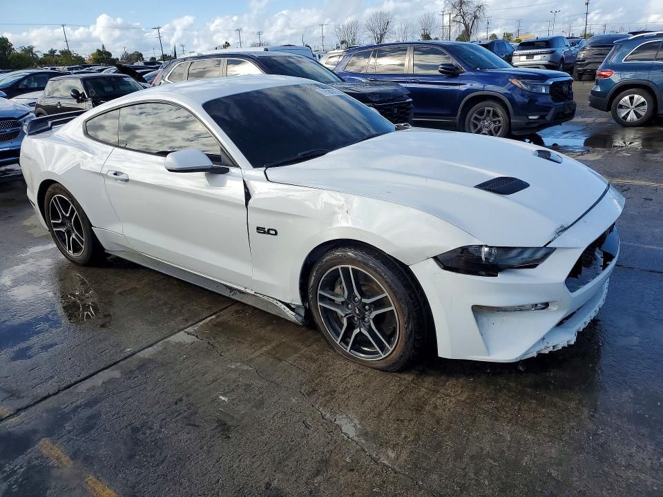 2019 Ford Mustang gt