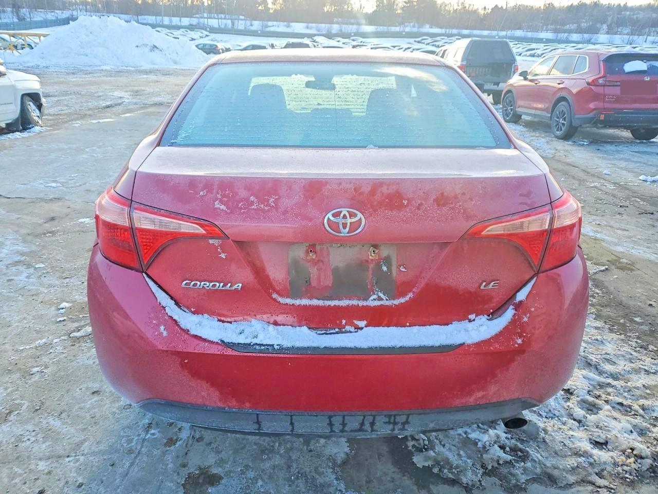 2019 Toyota Corolla l