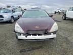 2004 Lexus Es 330