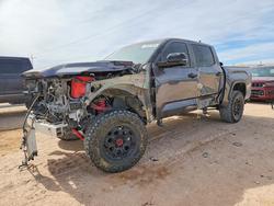 Toyota salvage cars for sale: 2024 Toyota Tundra TRD PRO HV