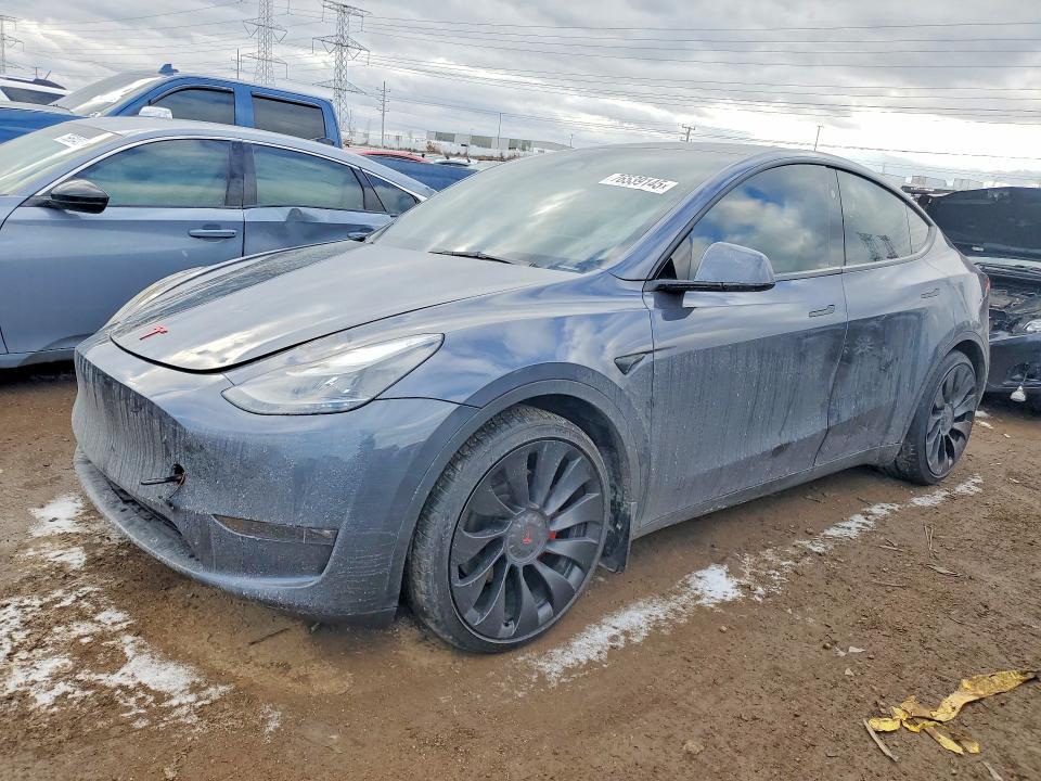2023 Tesla Model y