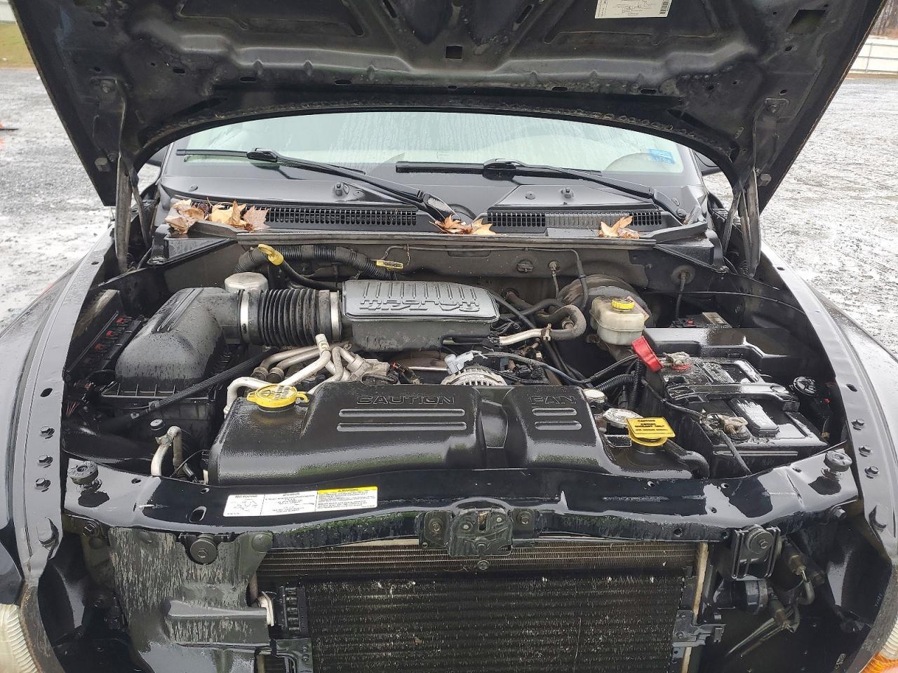 2004 Dodge Dakota Quad SLT