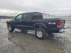 2004 Dodge Dakota Quad SLT