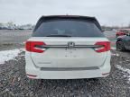 2021 Honda Odyssey exl