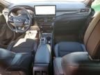 2024 Ford Escape st Line