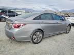2013 Hyundai Sonata Hybrid