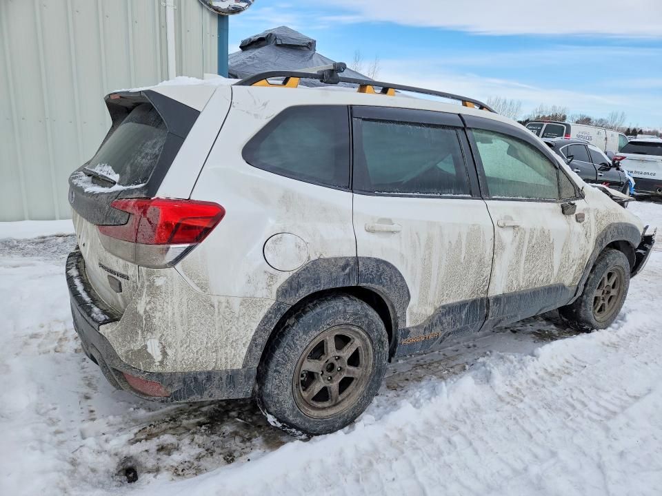 2023 Subaru Forester Wilderness