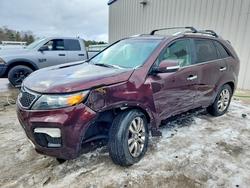 KIA Sorento sx salvage cars for sale: 2012 KIA Sorento sx