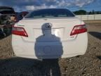 2008 Toyota Camry ce