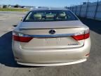 2013 Lexus Es 300h