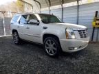 2011 Cadillac Escalade Premium