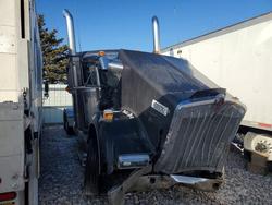 Salvage trucks for sale at Eldridge, IA auction: 2022 Kenworth W900 Semi Truck