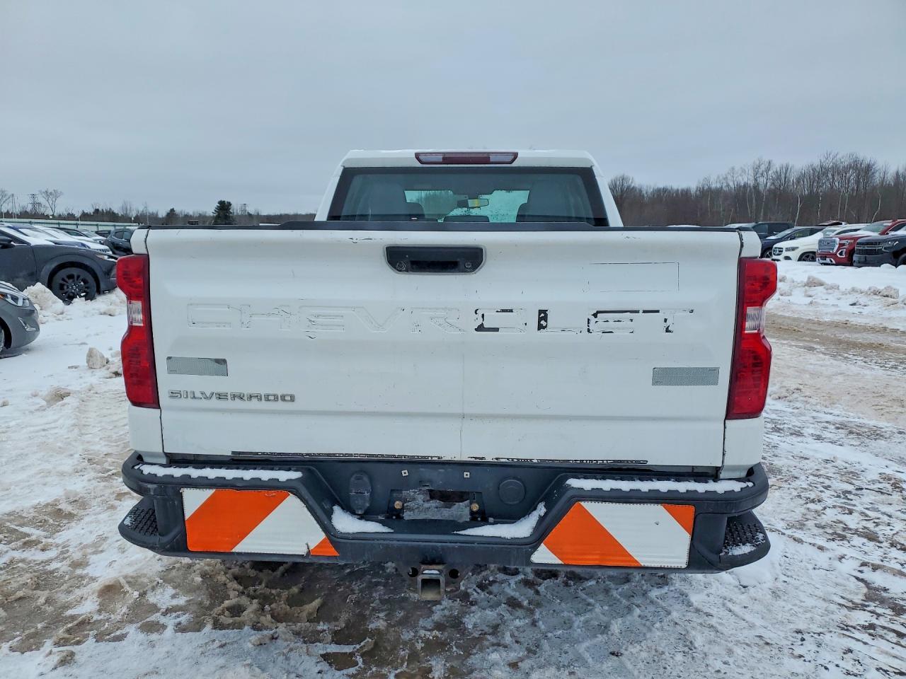 2019 Chevrolet Silverado C1500