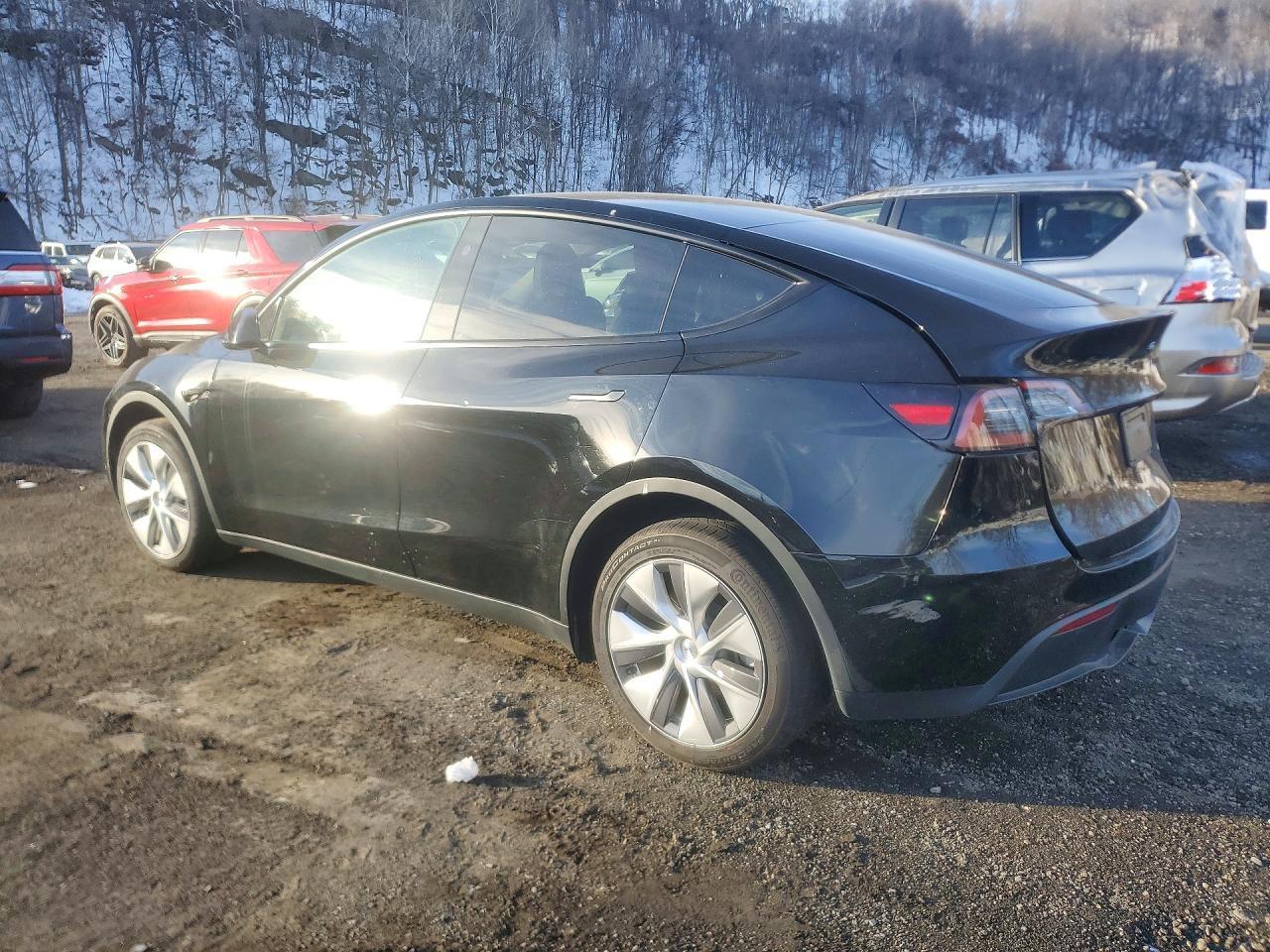 2024 Tesla Model y