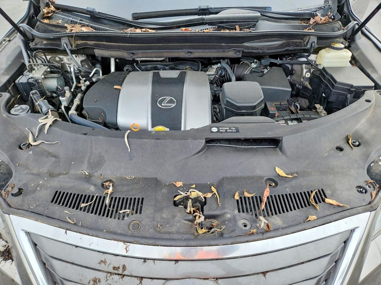 2017 Lexus Rx 350 Base