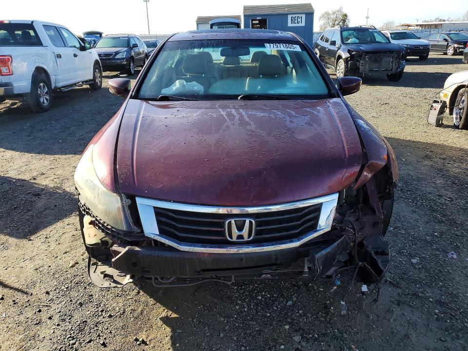 2010 Honda Accord exl
