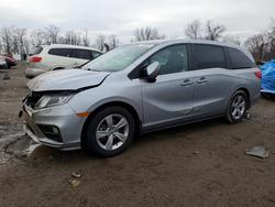 Honda salvage cars for sale: 2019 Honda Odyssey exl