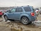 2010 Ford Escape Limited