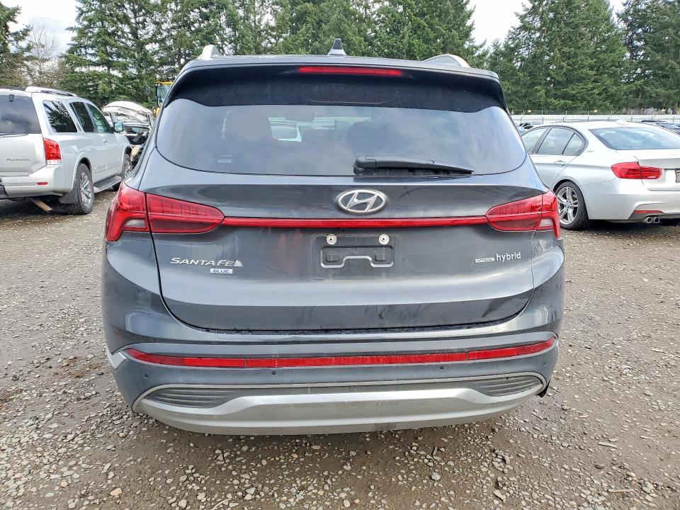 2023 Hyundai Santa fe Hybrid Blue