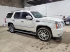 2010 Cadillac Escalade Premium