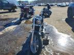 2024 Harley-Davidson Fxst