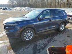 2024 Honda Cr-v exl for sale in Glassboro, NJ