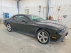 2010 Dodge Challenger R/T