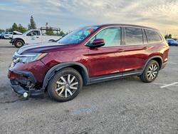 Honda Pilot ex salvage cars for sale: 2019 Honda Pilot ex