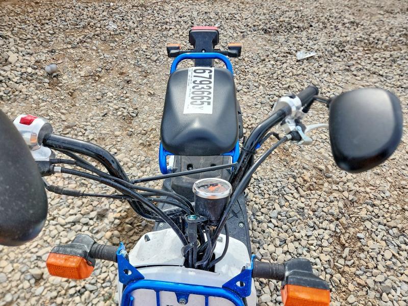 2023 Honda NPS50