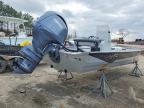 2025 AVD Boat