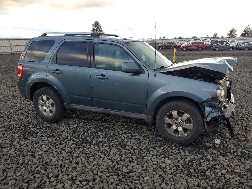 2011 Ford Escape Limited